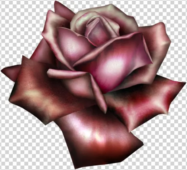 Burgundy Flower Png