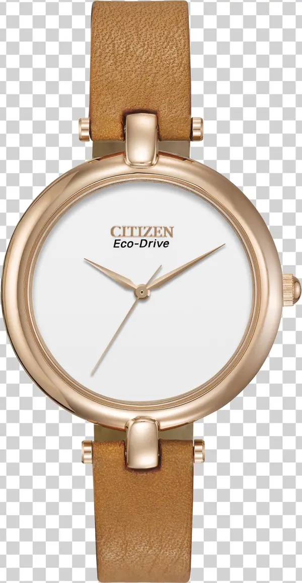 Citizen Womens Em0253-03a Silhouette Eco-drive Gold-tone