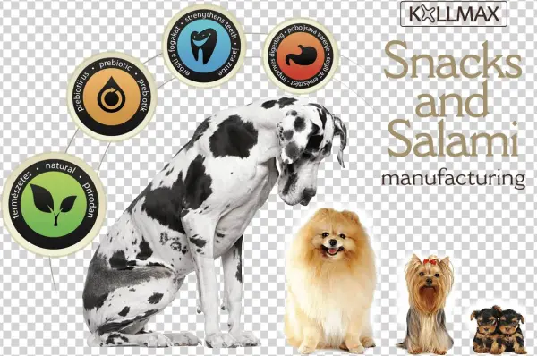 Dog - Salami