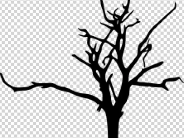 Drawn Bud Transparent Background