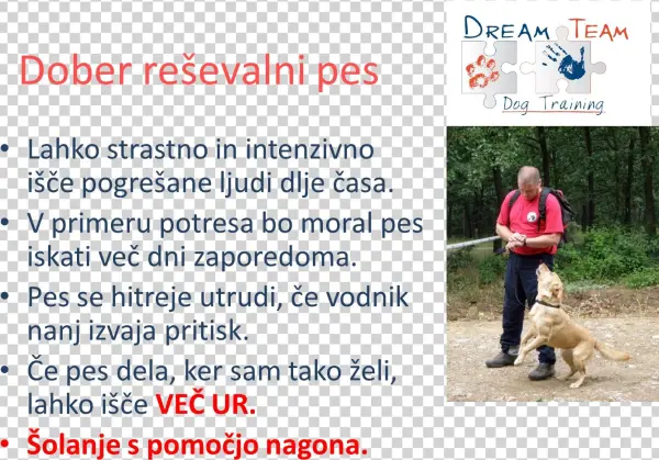Dreamteam - Dog Catches Something