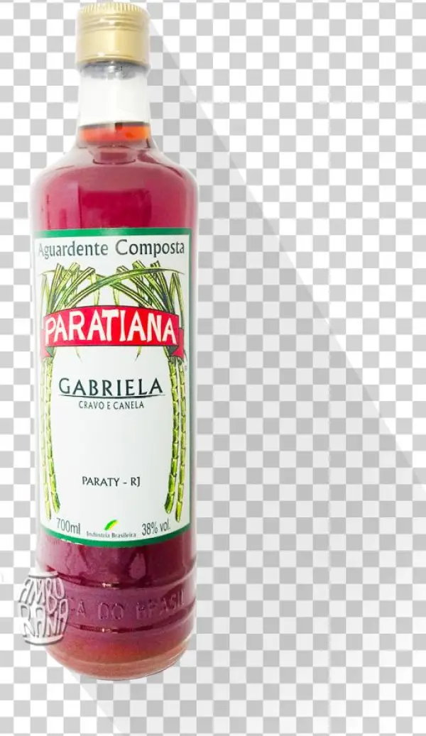 Gabriela Cachaça Er Spesielt - Paratiana