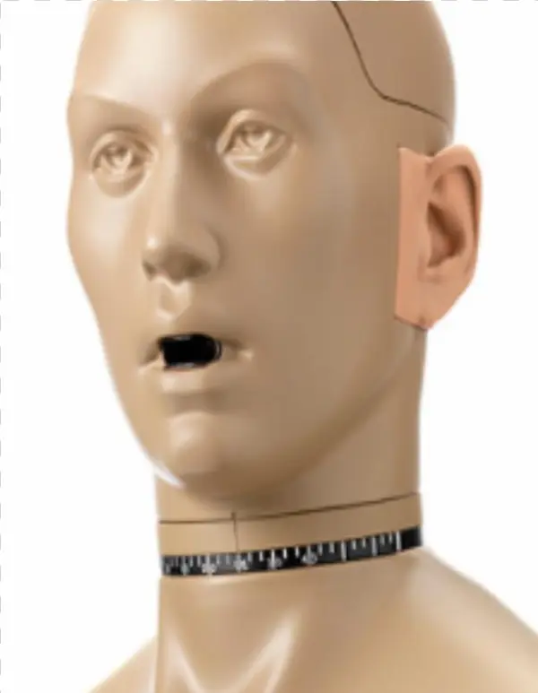 Mannequin Head Png