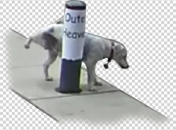 Post - Longdog