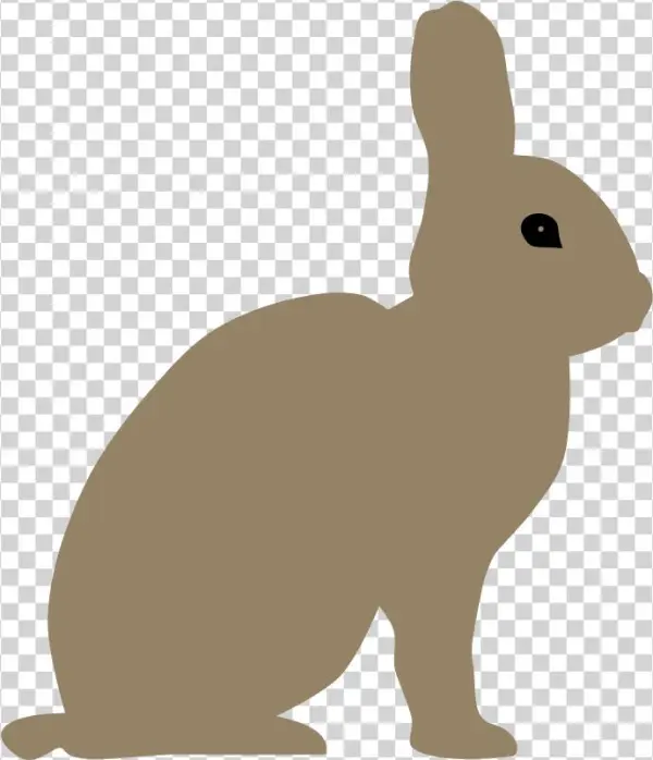 Rabbit By Rones