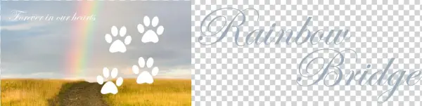 Rb Banner