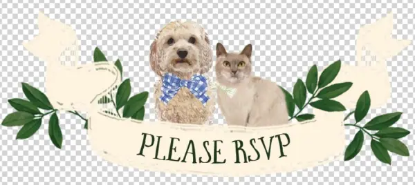 Rsvp - Portable Network Graphics