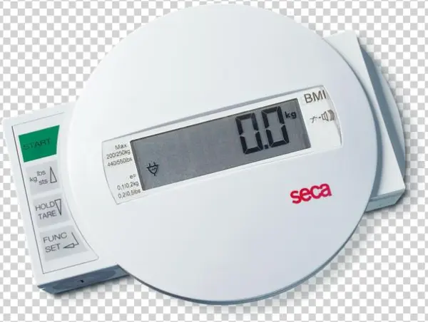 Seca - Seca 984 Digital Bed And Dialysis Scale W/ Equipment