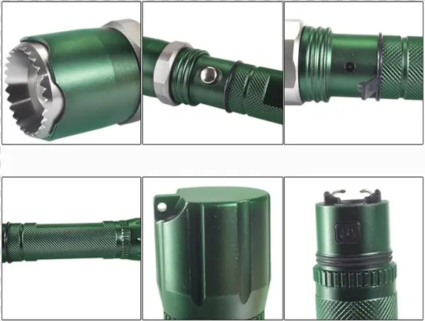 Torch Flame Png