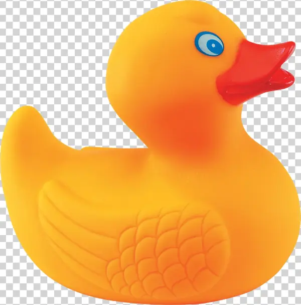 Yellow Duck Png