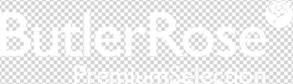 12 Month Guarantee On Placements - Russian Bot