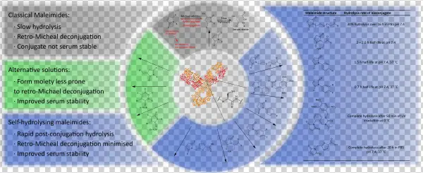 Abstract - Circle