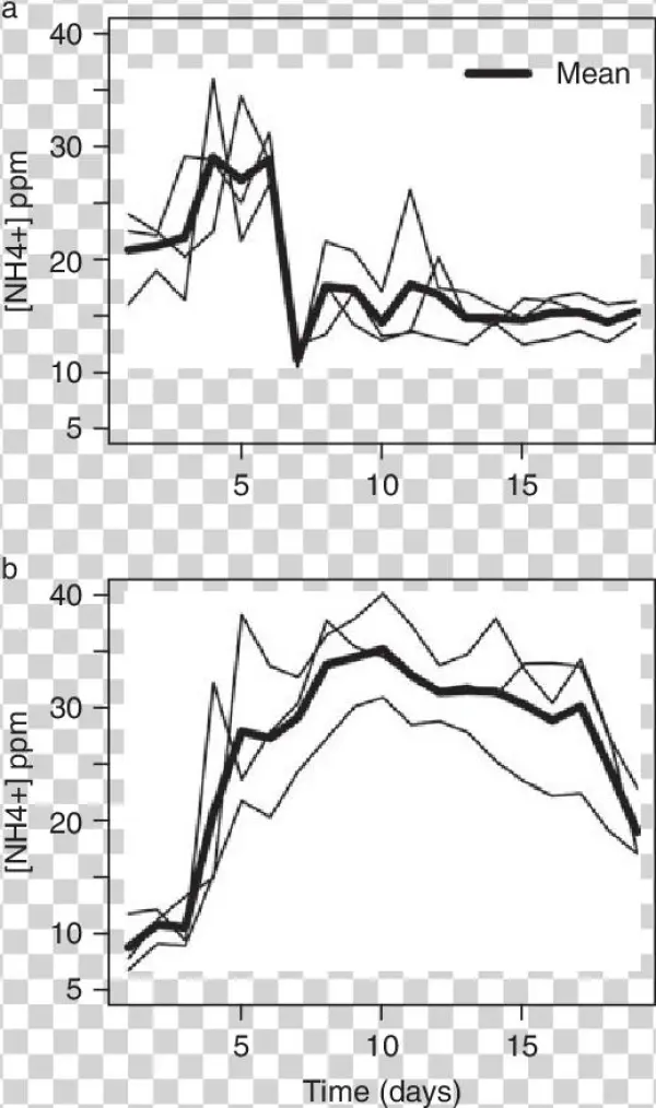 Ammonia Concentration Dynamics - Drawing