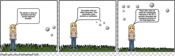 Animal Comic Strip4 - Cartoon