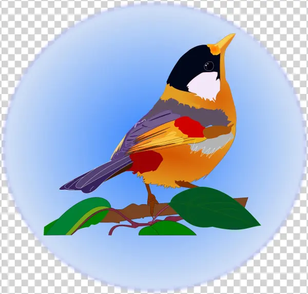 Clipart P Ssaro Multicolor Big Image Png - Clip Art