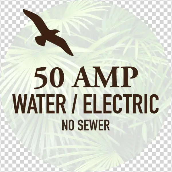 Electricity