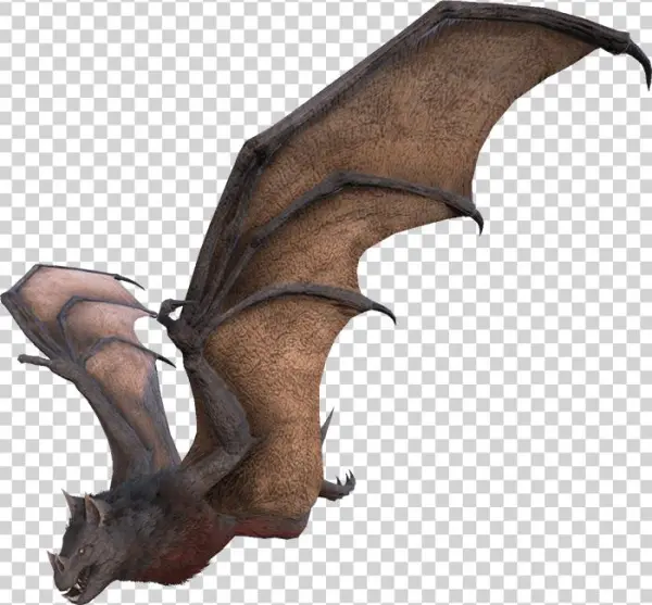 Hesperornis