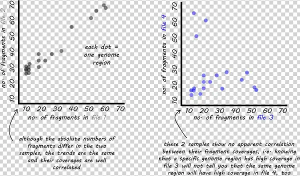 Images/qc Bamcorrelate Intro - Diagram