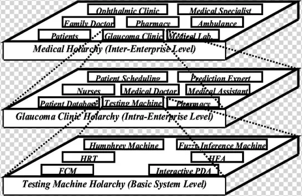 Medical Holarchy - Diagram