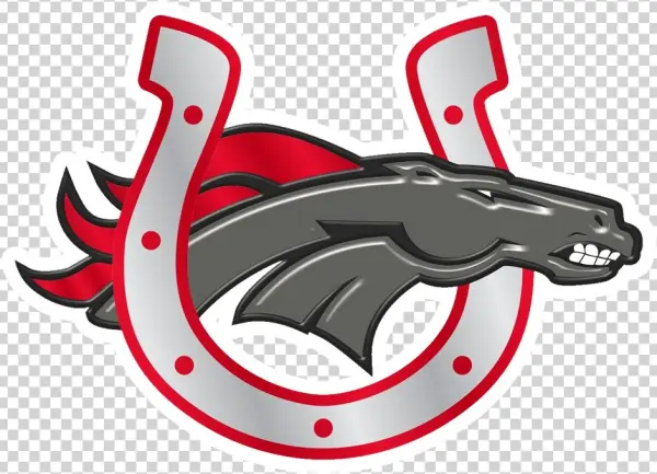 Palmetto Mustangs