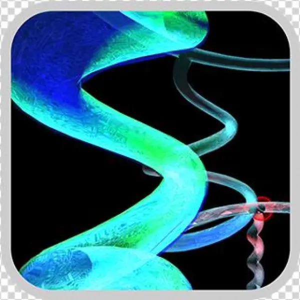 Spiralset