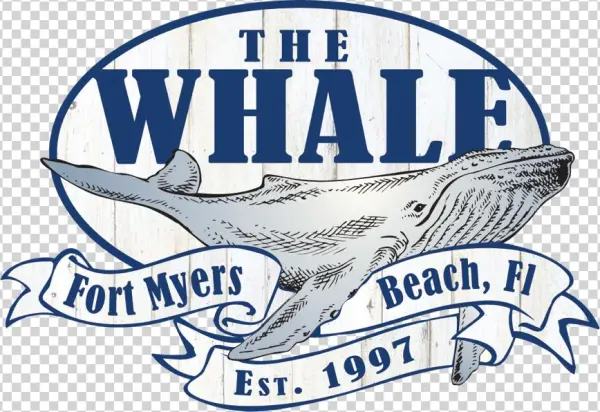 The Beached Whale