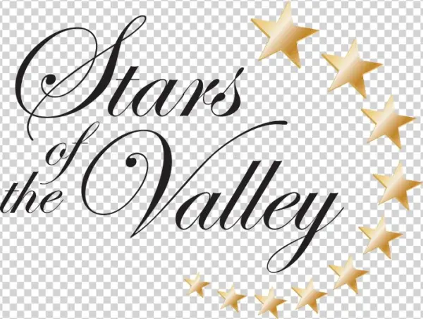 2019 Stars Of The Valley Community Awards
