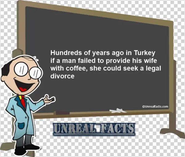 Arabia Divorce Coffee