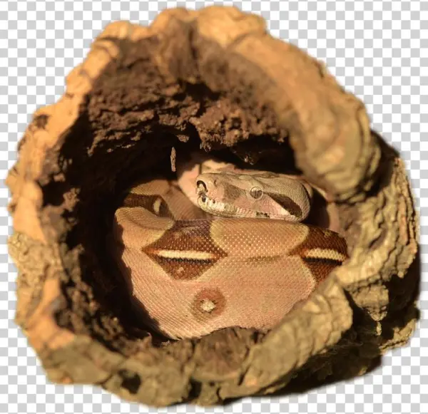 Enclosures