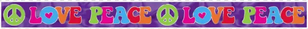 Feeling Groovy Foil Banner