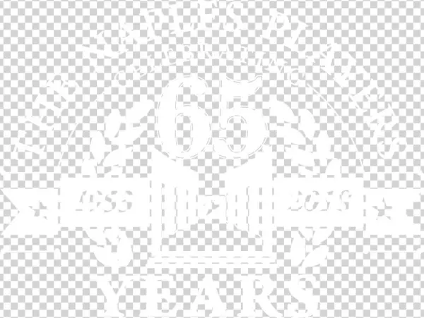 Footer Logo