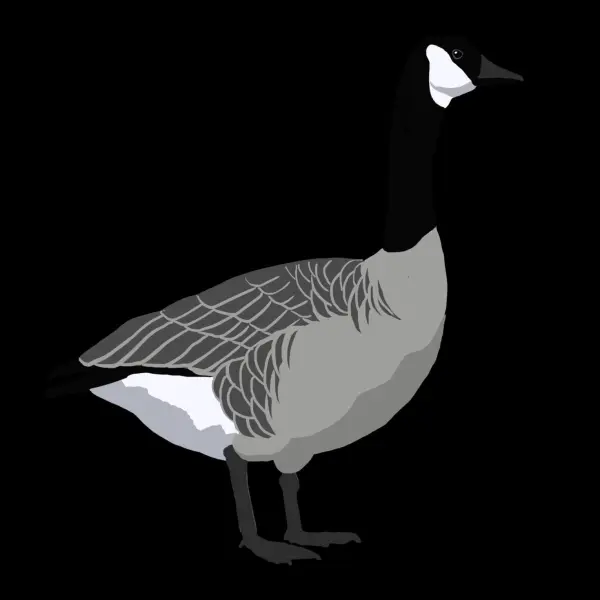 Geese Png