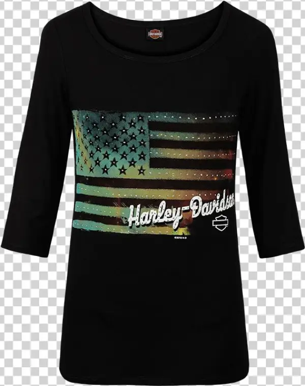 Harley-davidson Washed Flag Dealer Tee