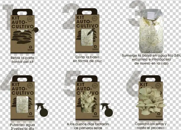 Instrucciones