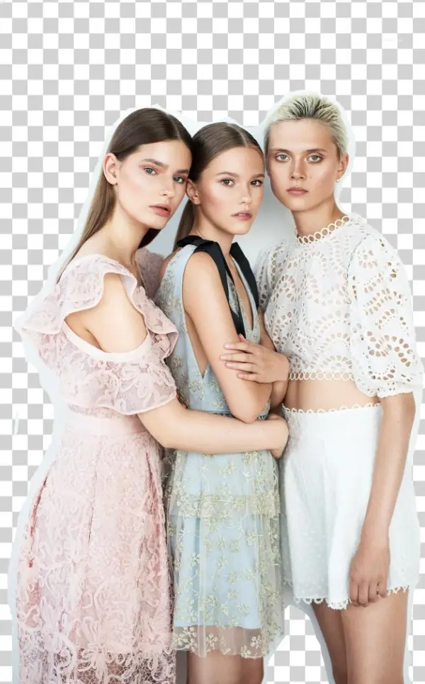 Lace Overlay Png