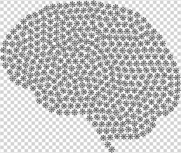Neural Connections