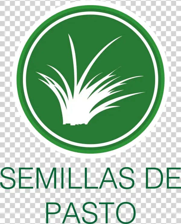 Pasto Png