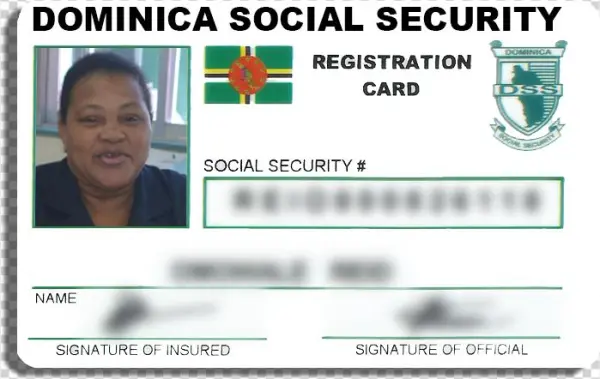 Social Security Card