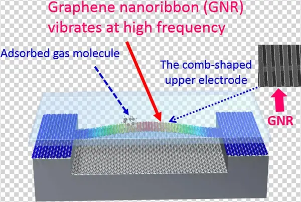 Gnems Functional Device