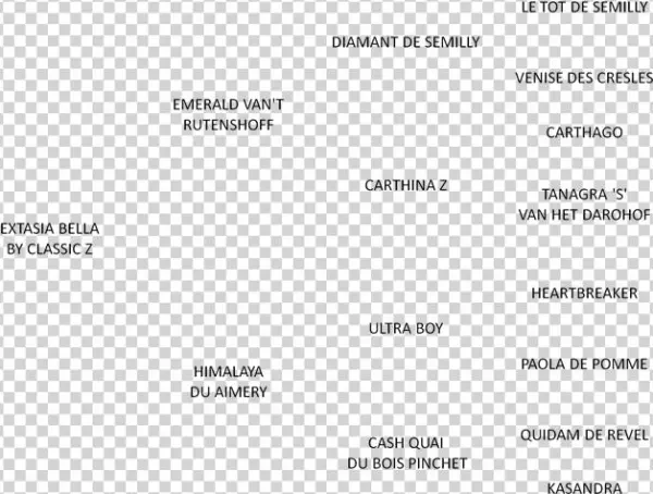 Pedigree Extasia