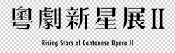 Top Icon Banner