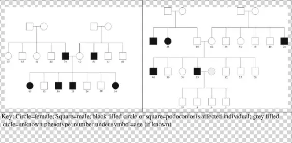 Two Family Pedigrees From Southern Ethiopia