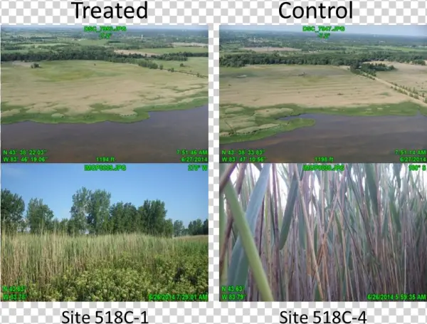 Vegetation Methodology2