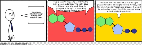 Adp Png