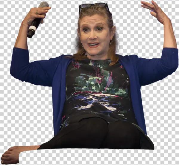 Carrie-out