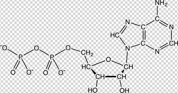 File - Adpchemdraw