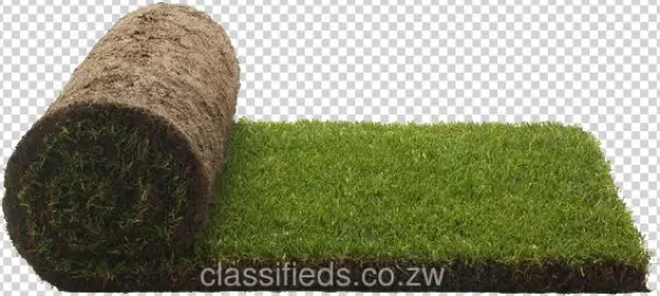 Lawn Png