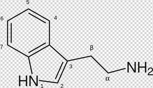 Lsd Tab Png