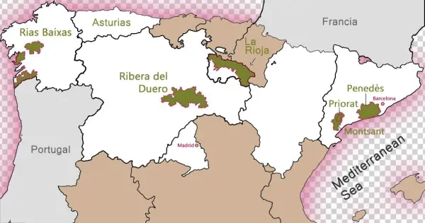 Niso Wine Tours Is Spain's Leading Tourism Operator