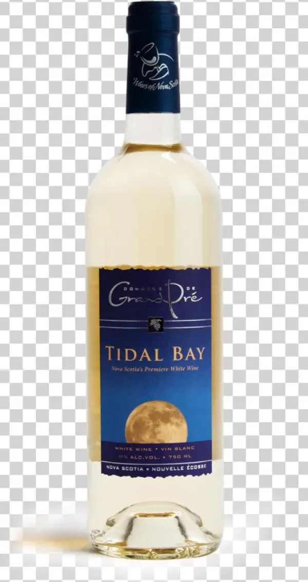Tidal Png
